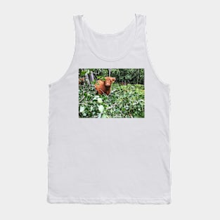 Scottish Highland Cattle Calf 2043 Tank Top